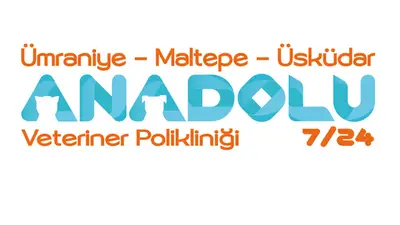 VETERİNER MALTEPE Anadolu Veteriner Polikliniği