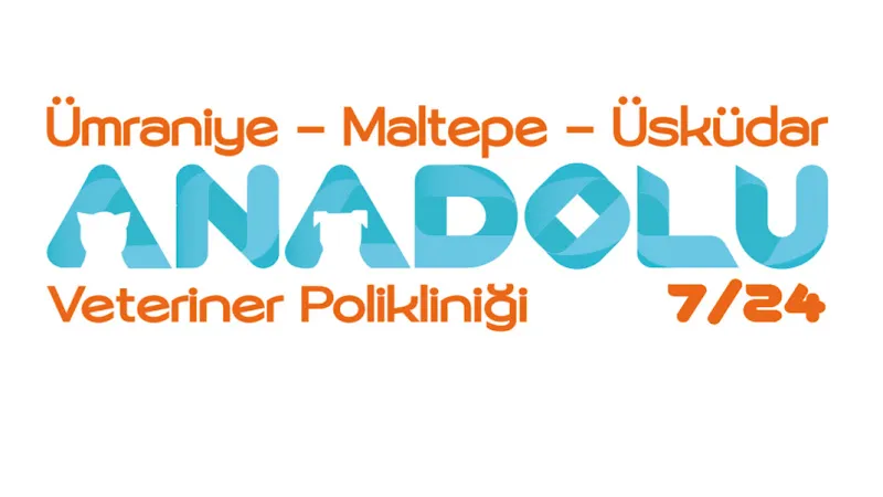 VETERİNER MALTEPE Anadolu Veteriner Polikliniği foto 1