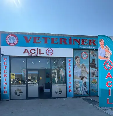 Esenyurt WORLD VETERİNER KLİNİĞİ