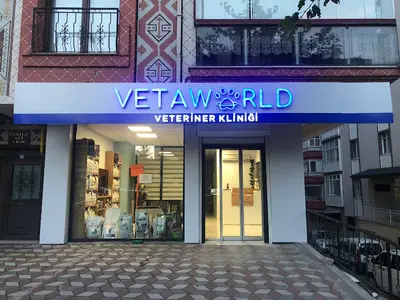 Vetaworld Veteriner Kliniği