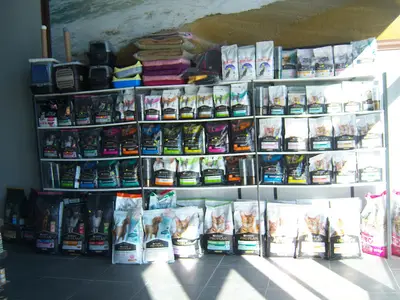 Citypaws incek Veteriner Kliniği