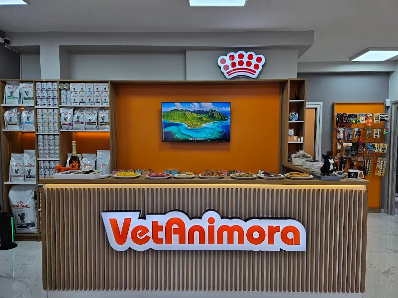 VetAnimora Veteriner Kliniği foto 1