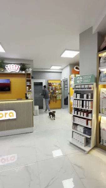 VetAnimora Veteriner Kliniği foto 2