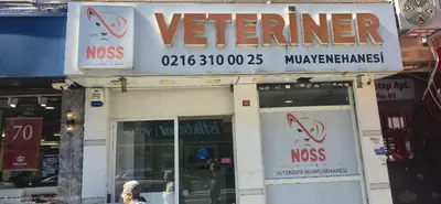 Üsküdar Noss Veteriner Kliniği