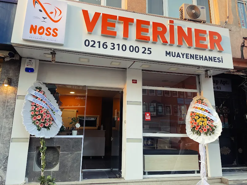 Üsküdar Noss Veteriner Kliniği foto 2