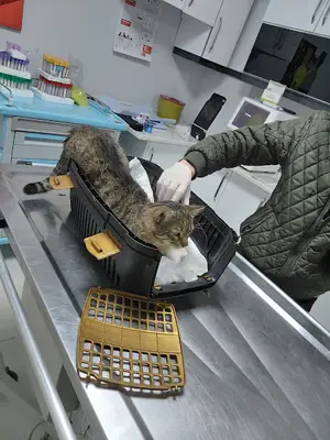 Reform Veteriner Kliniği