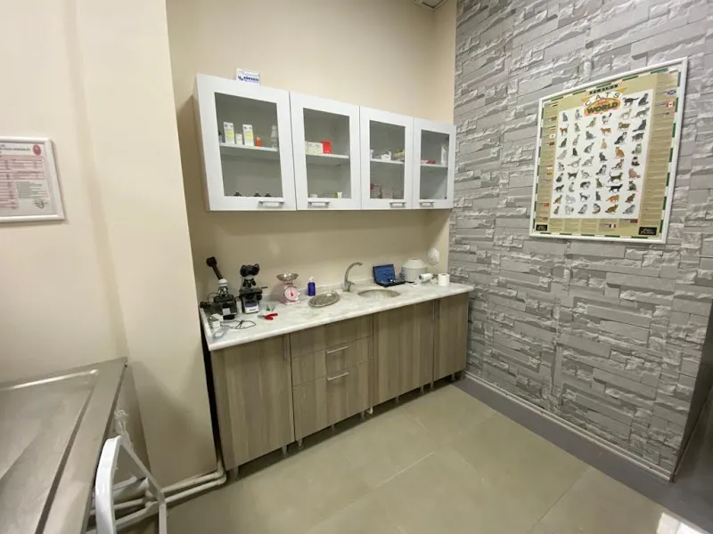 Eskişehir Yeşilim Veteriner Kliniği foto 1