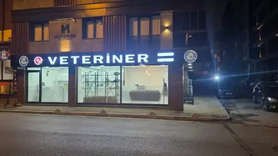 VETERİNER BAHÇELİEVLER VetAmor İstanbul Veteriner Kliniği Yenibosna 7/24 Nöbetçi Veteriner Kliniği
