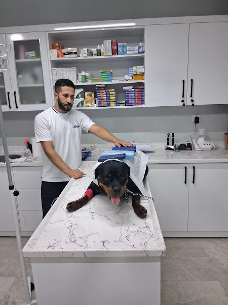 MD VETOPİA VETERİNER KLİNİĞİ foto 2