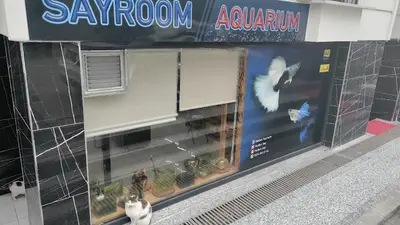 Sayroom Aquarium (Akvaryum)