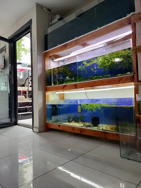 Sayroom Aquarium (Akvaryum) foto 2