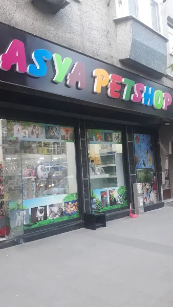 Asya Petshop foto 1