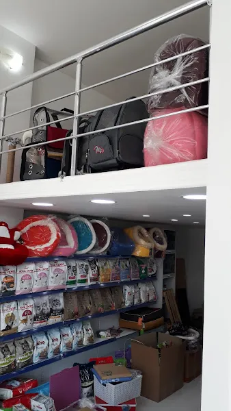 Asya Petshop foto 2