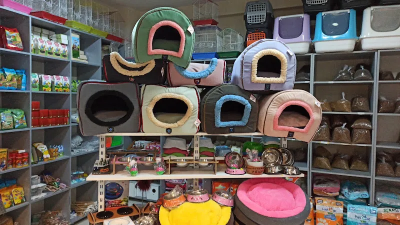 Nildeniz Akvaryum petshop foto 2