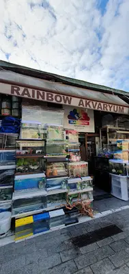 Rainbow Akvaryum