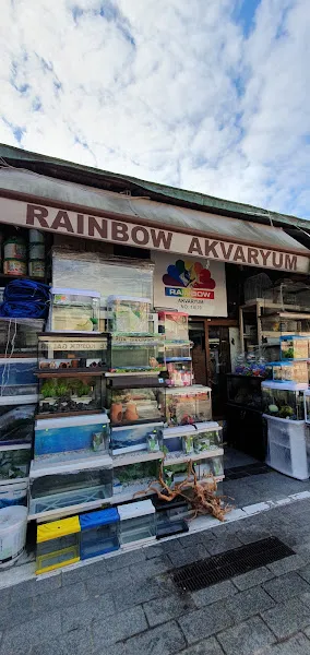 Rainbow Akvaryum foto 1