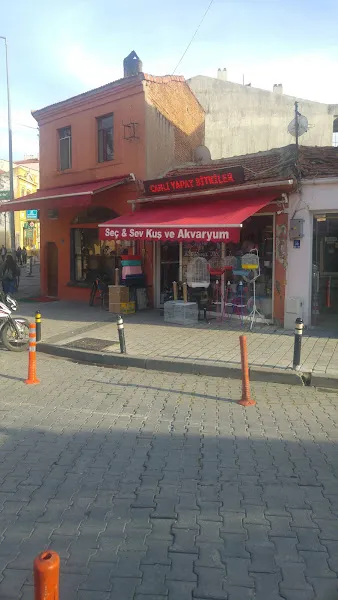Seç & Sev Kuş ve Akvaryum foto 1