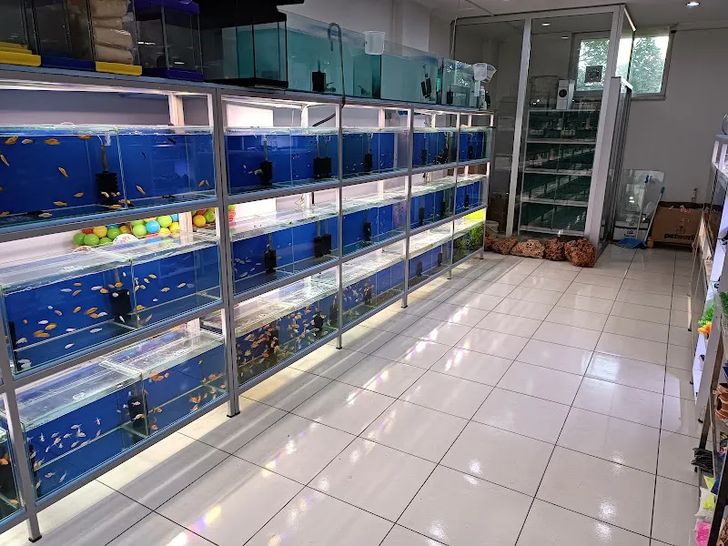 ÖZCAN AKVARYUM VE PETSHOP foto 2