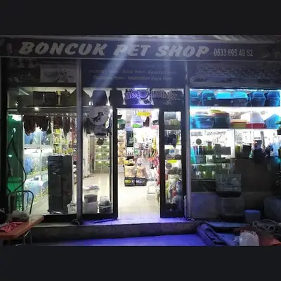Boncuk petshop