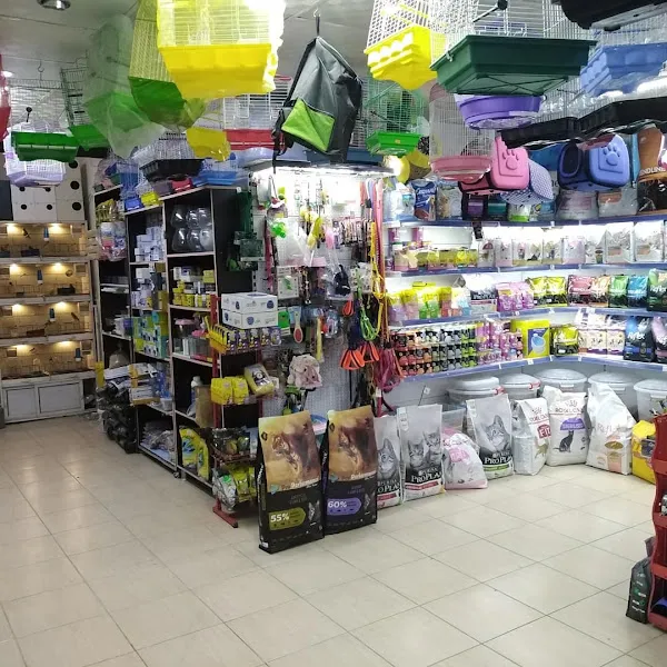 Boncuk petshop foto 2