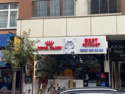 Best Pet Shop Sanayi Mahallesi