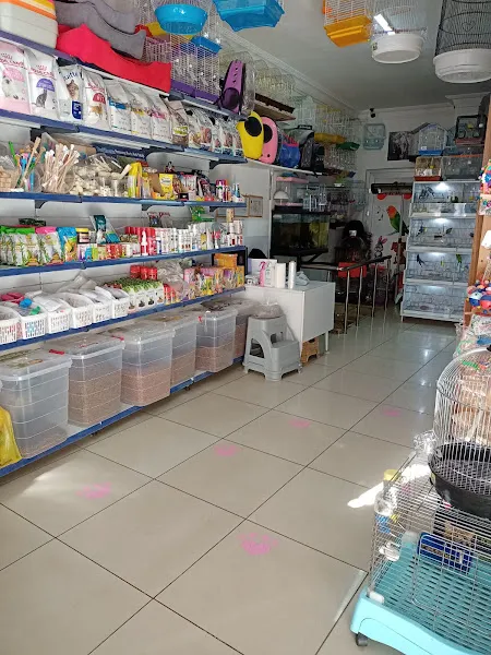 GÜL Petshop foto 2