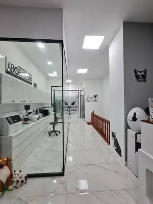 ASİL ÜMRANİYE VETERİNER KLİNİĞİ