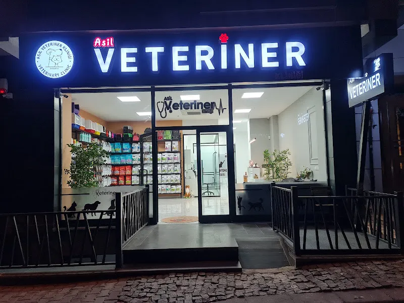 ASİL ÜMRANİYE VETERİNER KLİNİĞİ foto 2