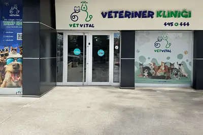 VetVital Veteriner Polikliniği