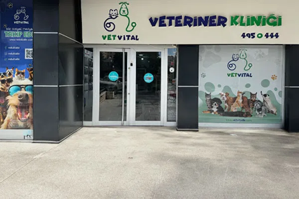 VetVital Veteriner Polikliniği foto 1