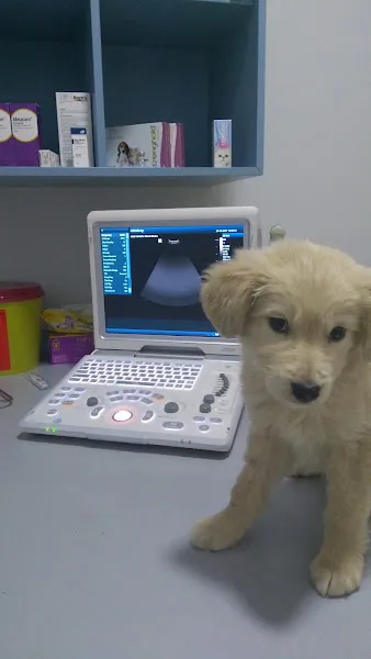 VetVital Veteriner Polikliniği foto 2