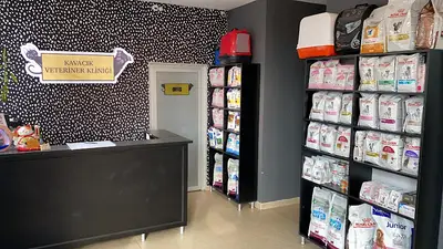 Kavacık Veteriner Kliniği 7/24 açık veteriner