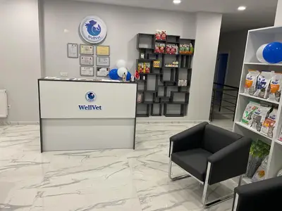 Ümraniye Wellvet Veteriner Muayenehanesi