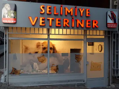 Selimiye Veteriner