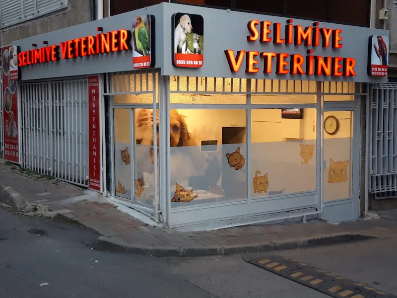 Selimiye Veteriner foto 2