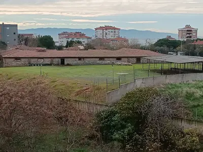 Pendik Veteriner Kontrol Enstitüsü Müdürlüğü