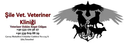 Şile Vet. Şile Veteriner Kliniği