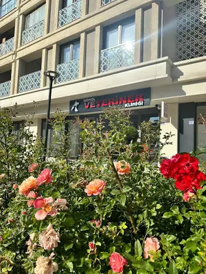 Gönül Veteriner Kliniği/Meram şehit resul temaşehir/Konya