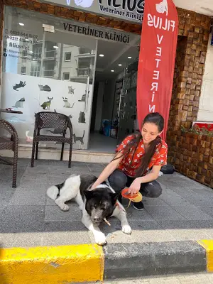 Filius Veteriner Kliniği