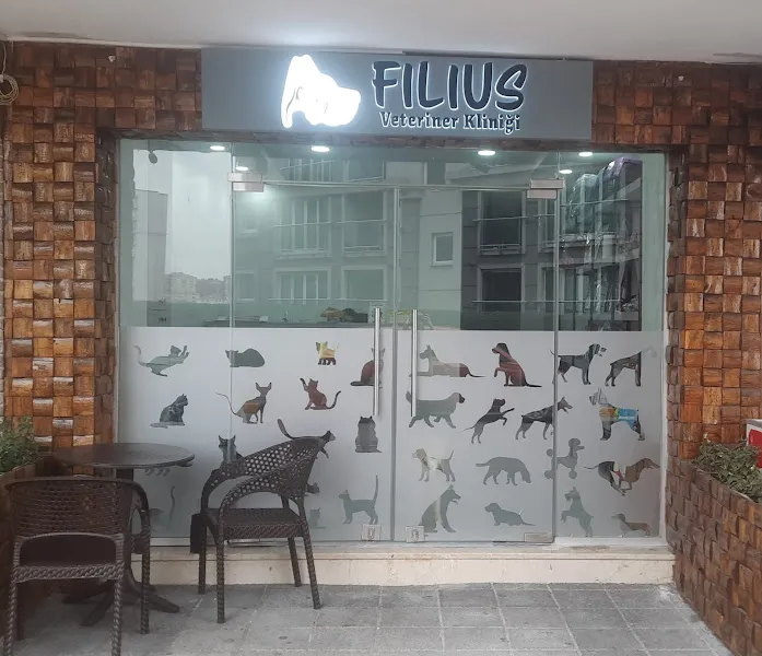 Filius Veteriner Kliniği foto 2