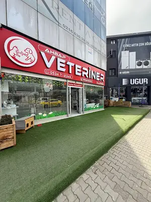 ÜMRANİYE AHBAP VETERİNER KLİNİĞİ 7/24 ACİL
