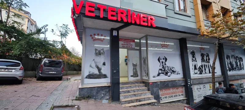 ÇağlayanVet Veteriner Muayenehanesi foto 2