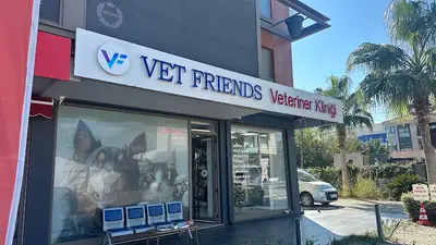 Vet Friends Güzelbahçe Veteriner