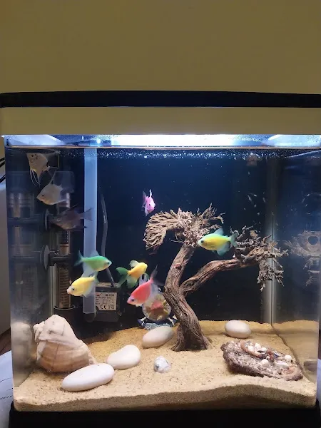 PET362 Petshop foto 2