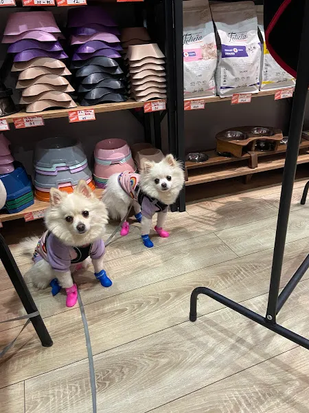 ENA PETSHOP foto 2