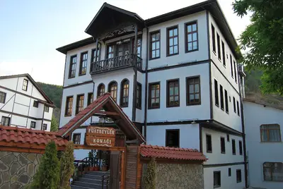 Fuatbeyler Konagi