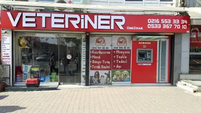 ÜSKÜDAR VETERİNER