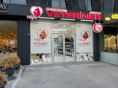 Petheart Sakarya 24 Saat Açık Acil Nöbetçi Veteriner Kliniği - Adapazarı
