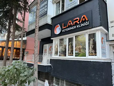 LARA VETERİNER KLİNİĞİ