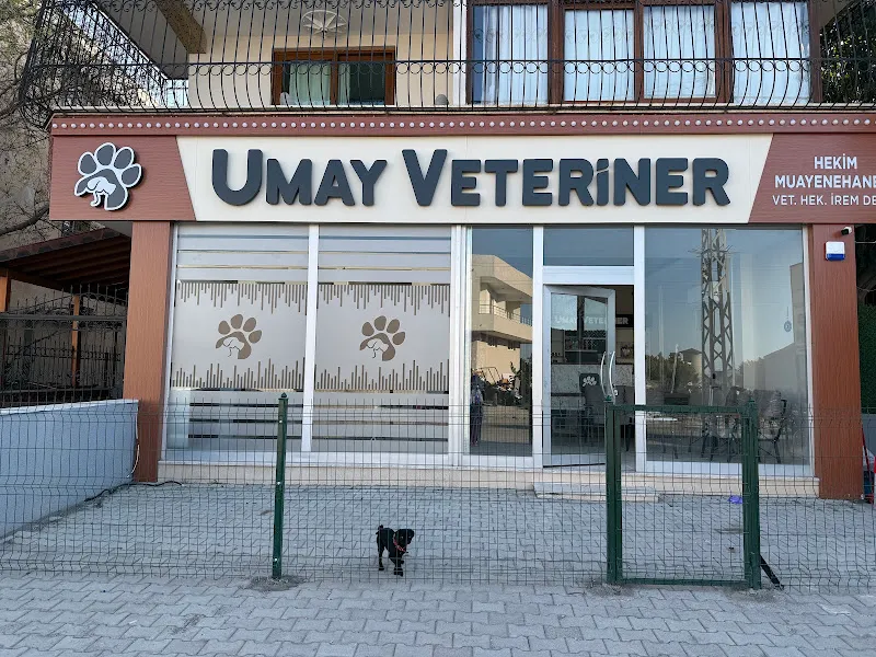 Umay Veteriner Kliniği foto 1